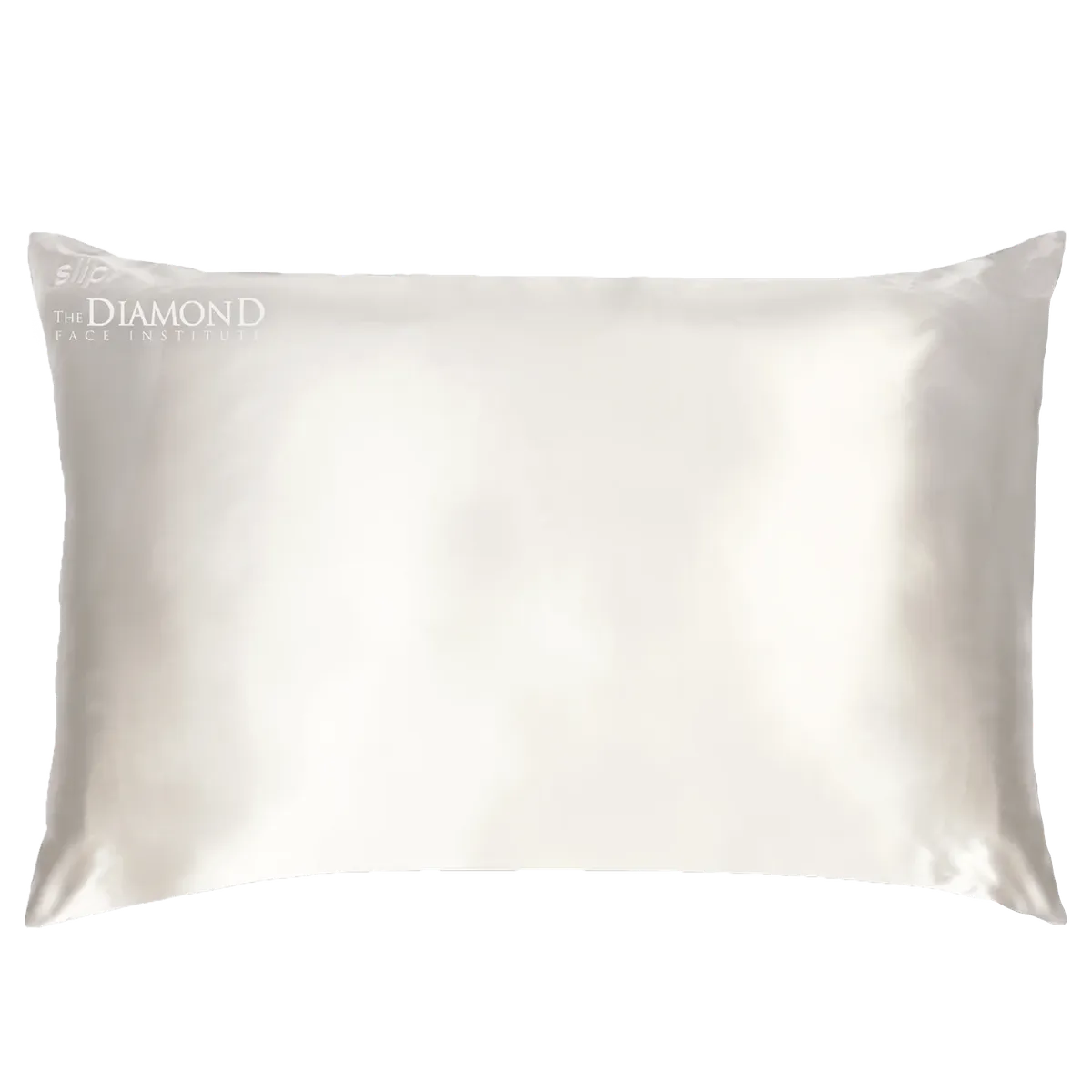 Slip Silk Pillowcase
